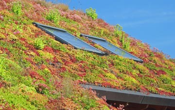 West Boldon living roof systems