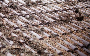 West Boldon roof cleaning companies