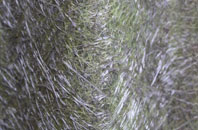 West Boldon fibreglass roof work